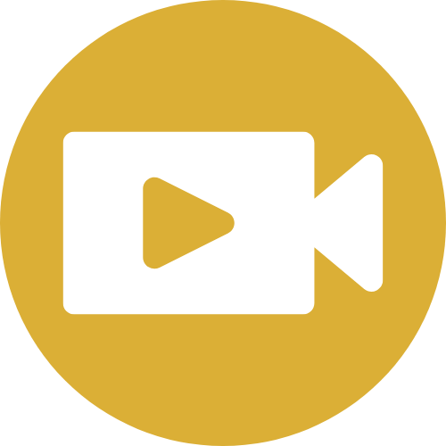 Personalized Video Consultations